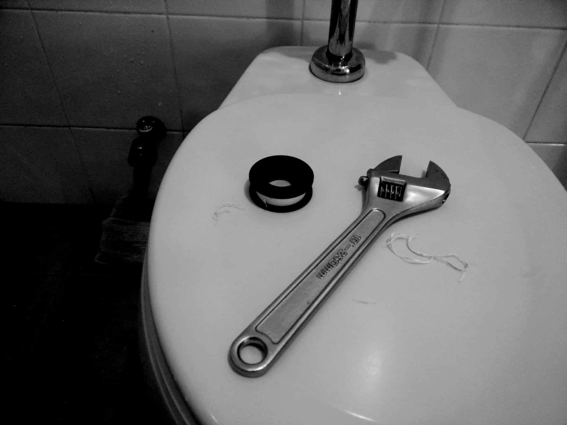 Toilet ontstoppen